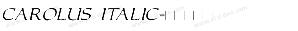 Carolus Italic字体转换